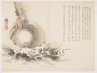 Rápido del Río, c.1861-63